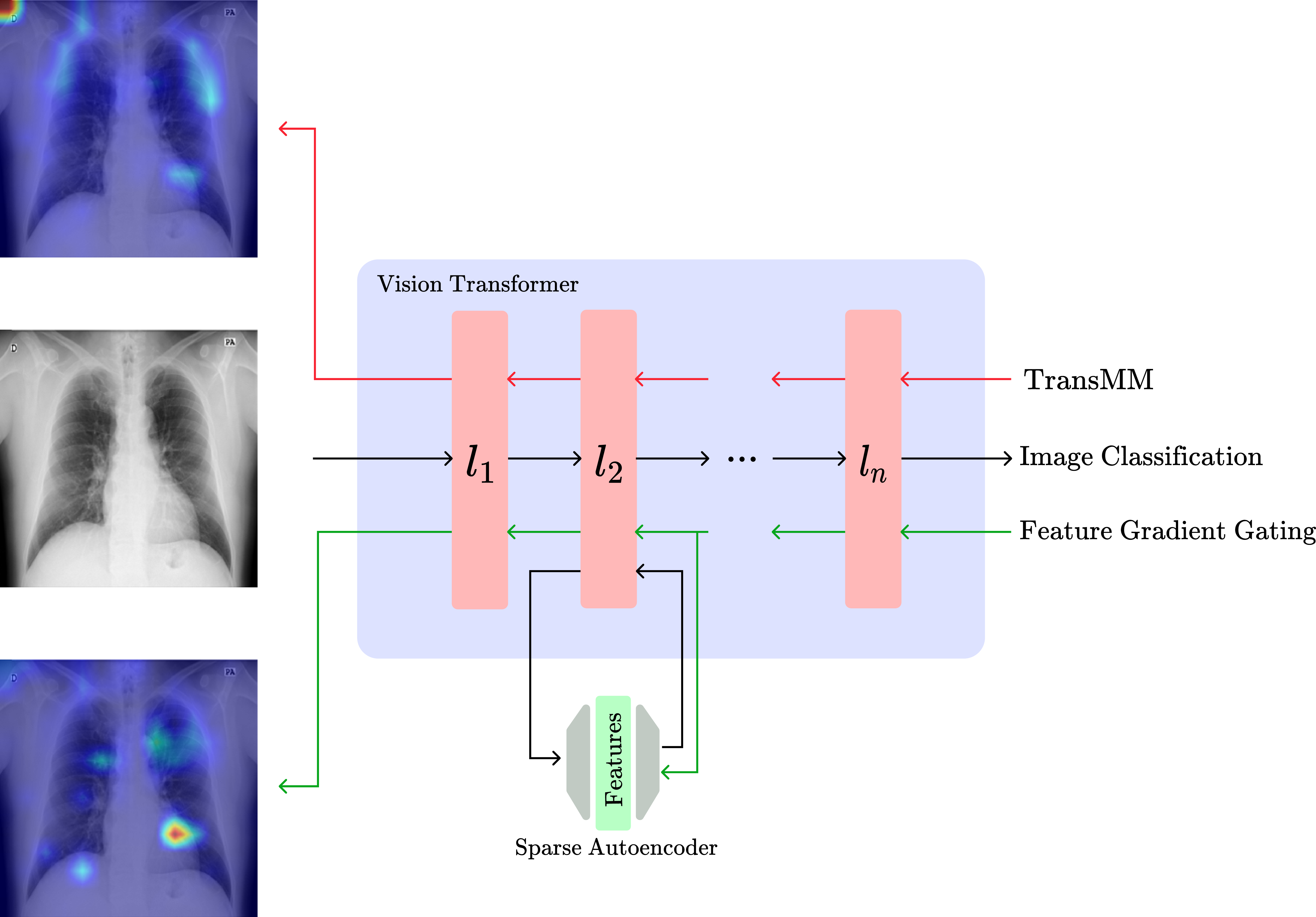 Feature-Gradient Attribution Method Overview