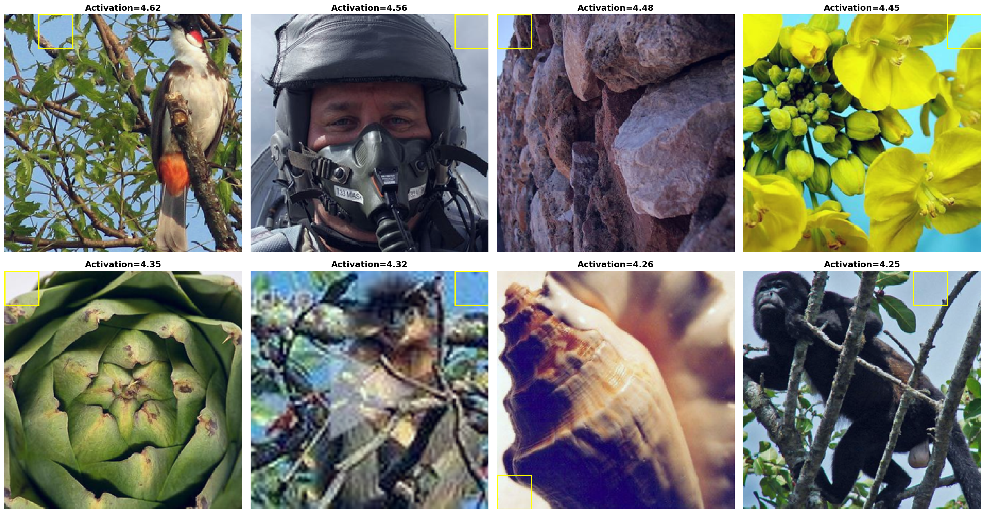 Prototypes for feature 5436